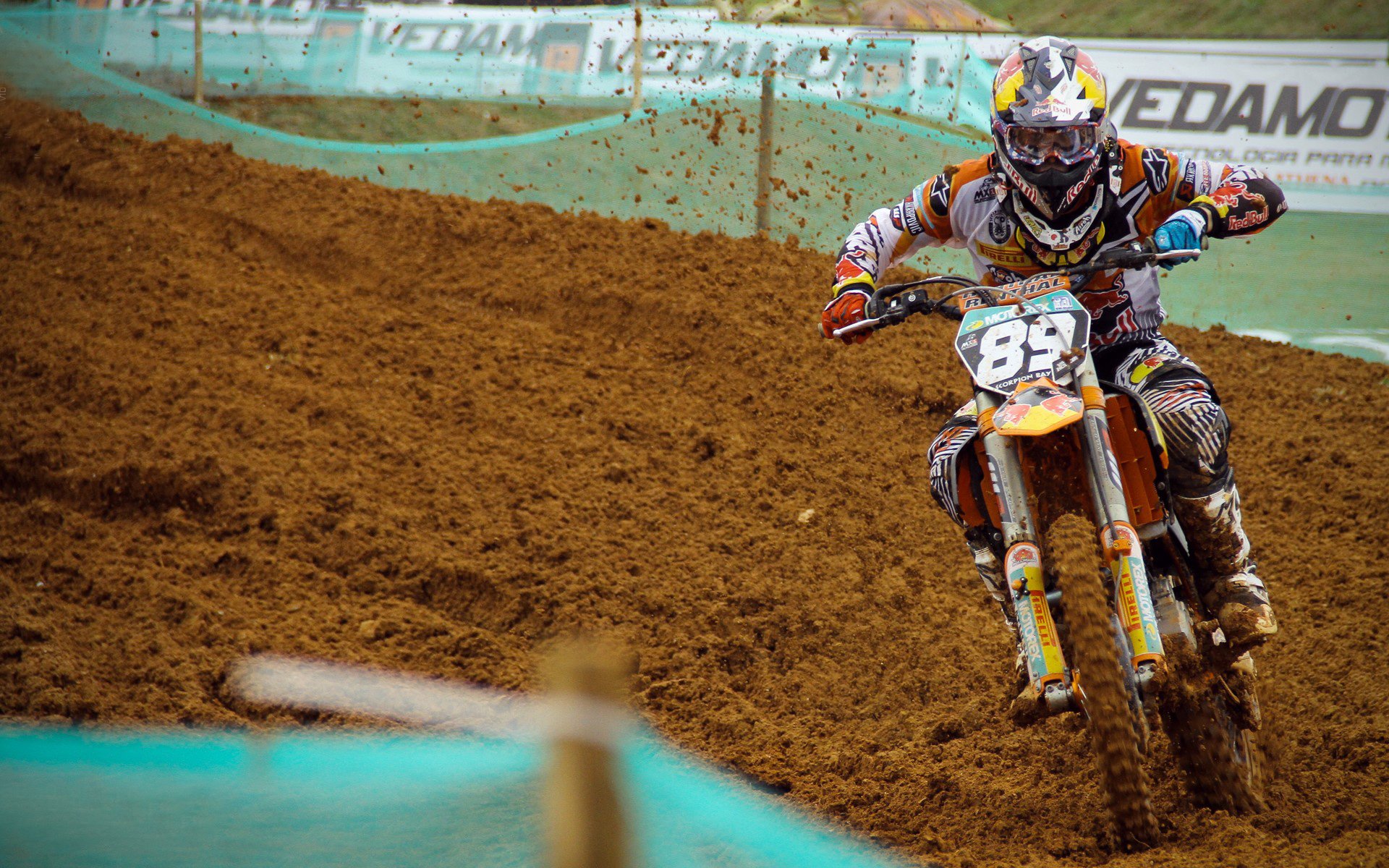 公牛战术混乱再遭失利，公牛战术混乱再遭失利是哪一集