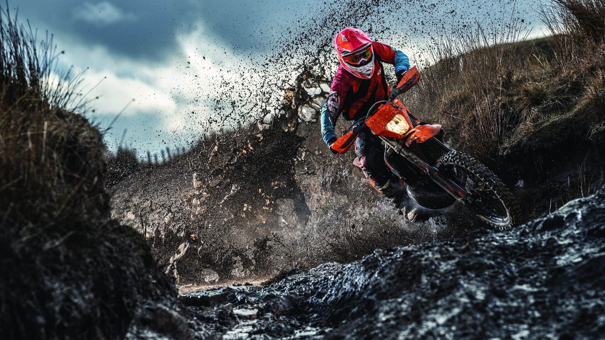 荷兰队连胜挪威，小组战绩连胜三场，足球荷兰对挪威